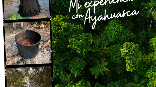 Mi experiencia con Ayahuasca