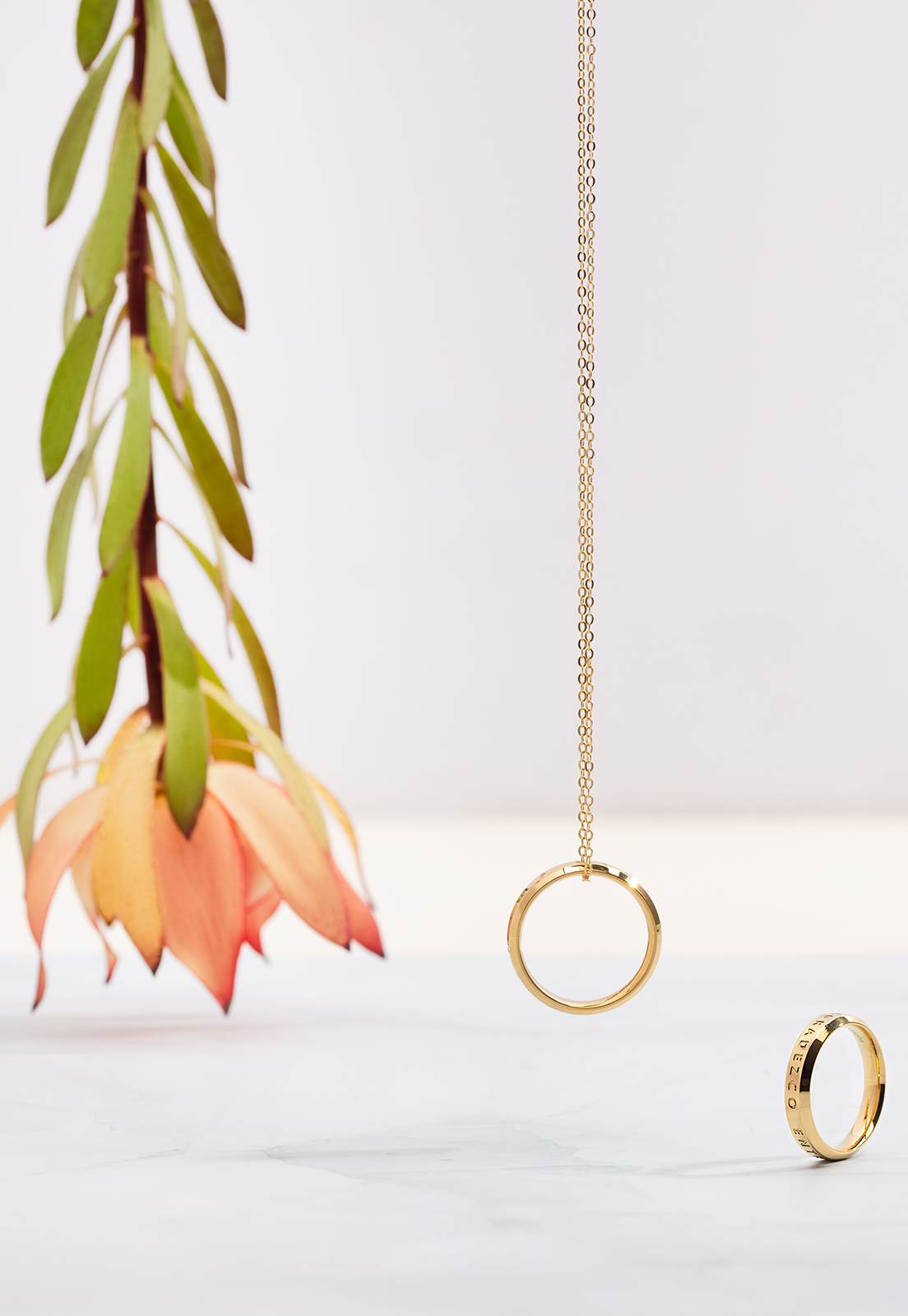 Anillo Familia por siempre Daniel Moksha